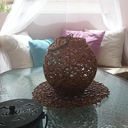 بيت شباب Votsalon House