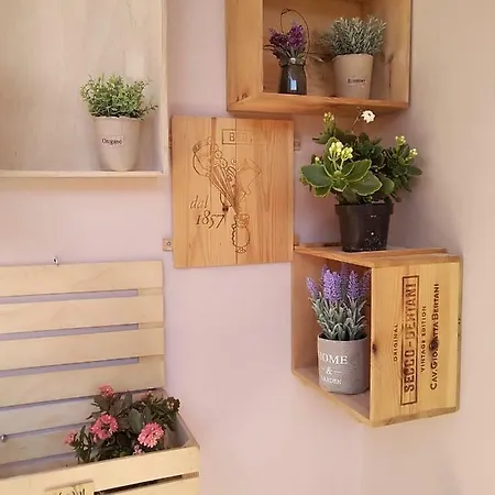 Votsalon House بيت شباب Katastárion