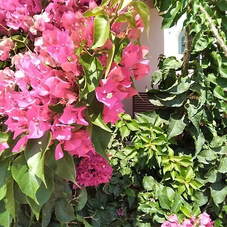 Votsalon House Hostel *